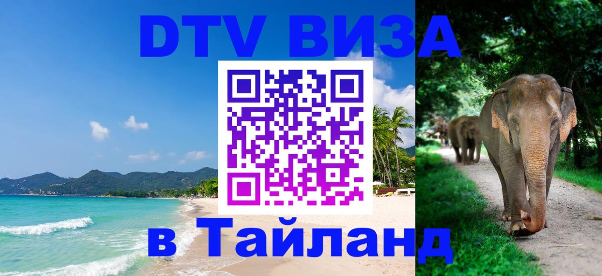 Сколько стоит DTV виза — актуальные цены, оформление даже без документов - 04.10.2025 